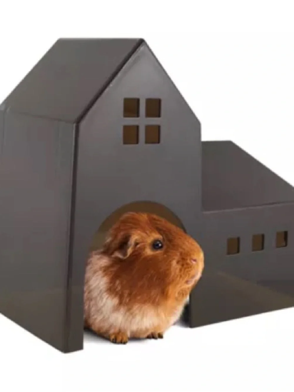 Full Cheeks™ Small Pet Tower Hideaway